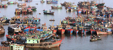 Fiskebåtar i Phan Thiet Vietnam