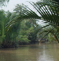 Läs om äventyr i Mekong deltat
